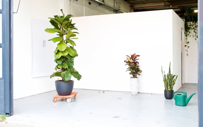 Very Contemporary, IKOB, Artist Talk with Arthur Cordier