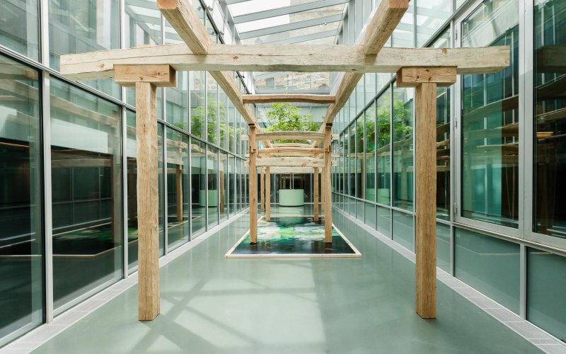 Very Contemporary, SCHUNCK, Charlotte Koenen: Afterimage