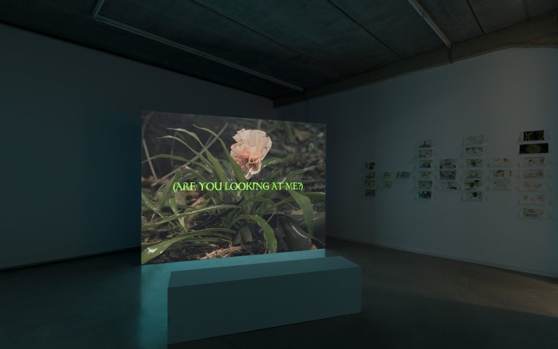 Very Contemporary, IKOB, Finissage IKOB – Feministist Art Prize 2025