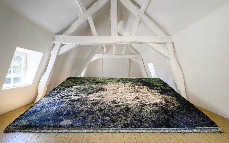Very Contemporary, SCHUNCK, Gladys Zeevaarders: Mein Freund, der Baum