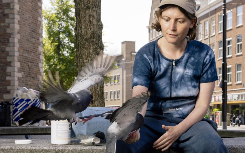 Very Contemporary, Het Nieuwe Domein, HND Talent: Helena & G.C. Heemskerk – Pigeon-Human-Land-Scapes