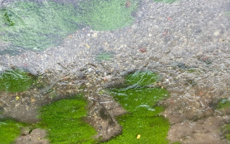 Very Contemporary, Kunsthaus NRW Kornelimünster, hochwasser - schutzdeiche für Kornelimunster