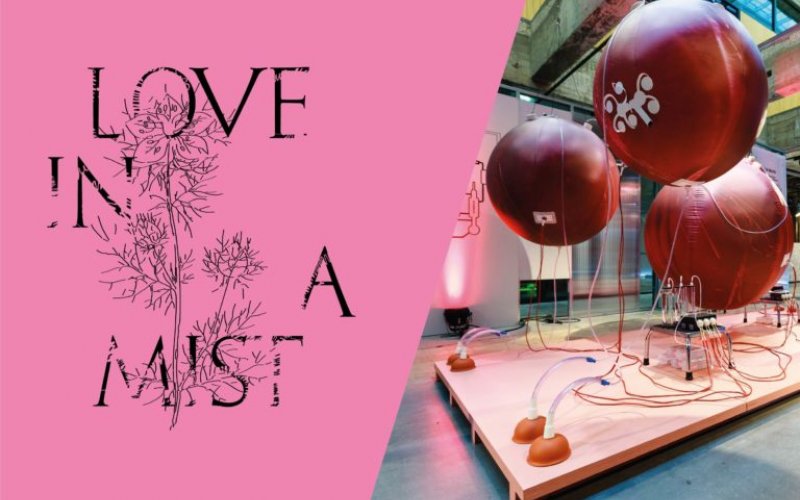 Very Contemporary, Bureau Europa, Love in a mist