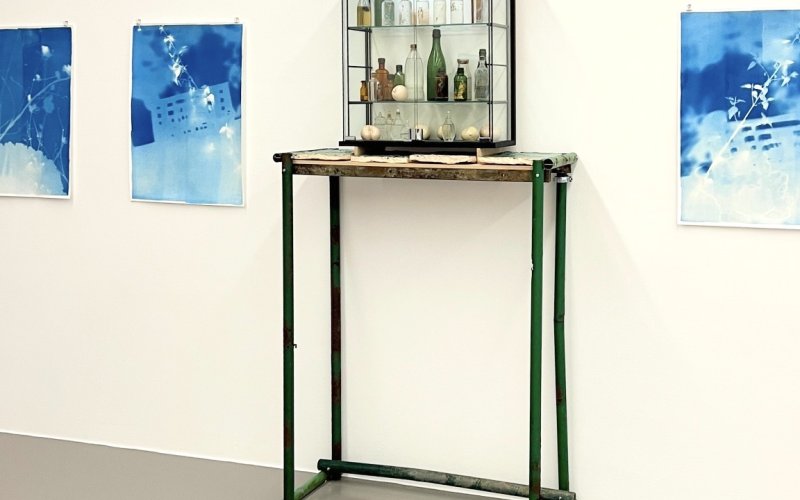 Very Contemporary, Leopold-Hoesch-Museum, Performing Landscapes: Silke Schatz & Lisa Oord in conversation