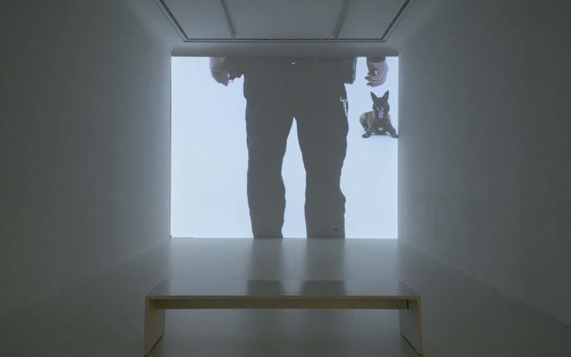 Very Contemporary, IKOB, Roman Selim Khereddine K9