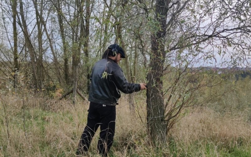 Very Contemporary, Greylight Projects, Supporting Acts