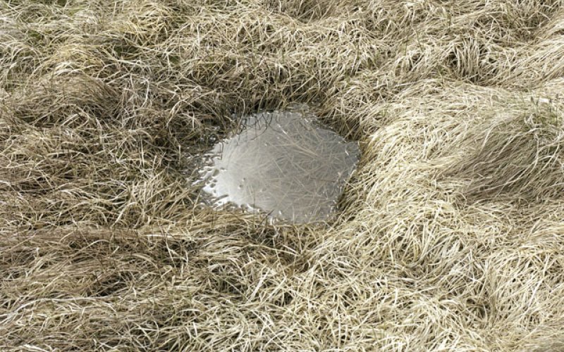 Very Contemporary, La Châtaigneraie, TALK TALK: The Heart and the Raw