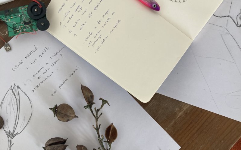 Very Contemporary, Greylight Projects, Talk&walk: Julie Gaubert