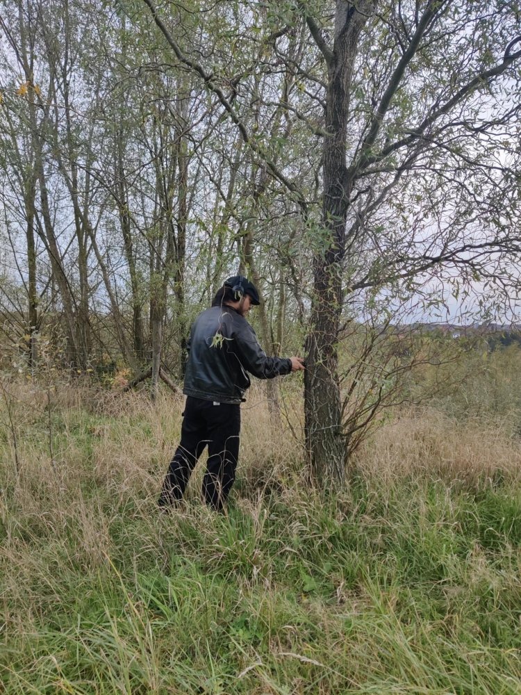 Very Contemporary, Home