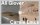 Very Contemporary, projects, 2024 ‣ ARTISTS IN RESIDENCY<br>Performing Landscapes: Ali Glover and Carole Louis