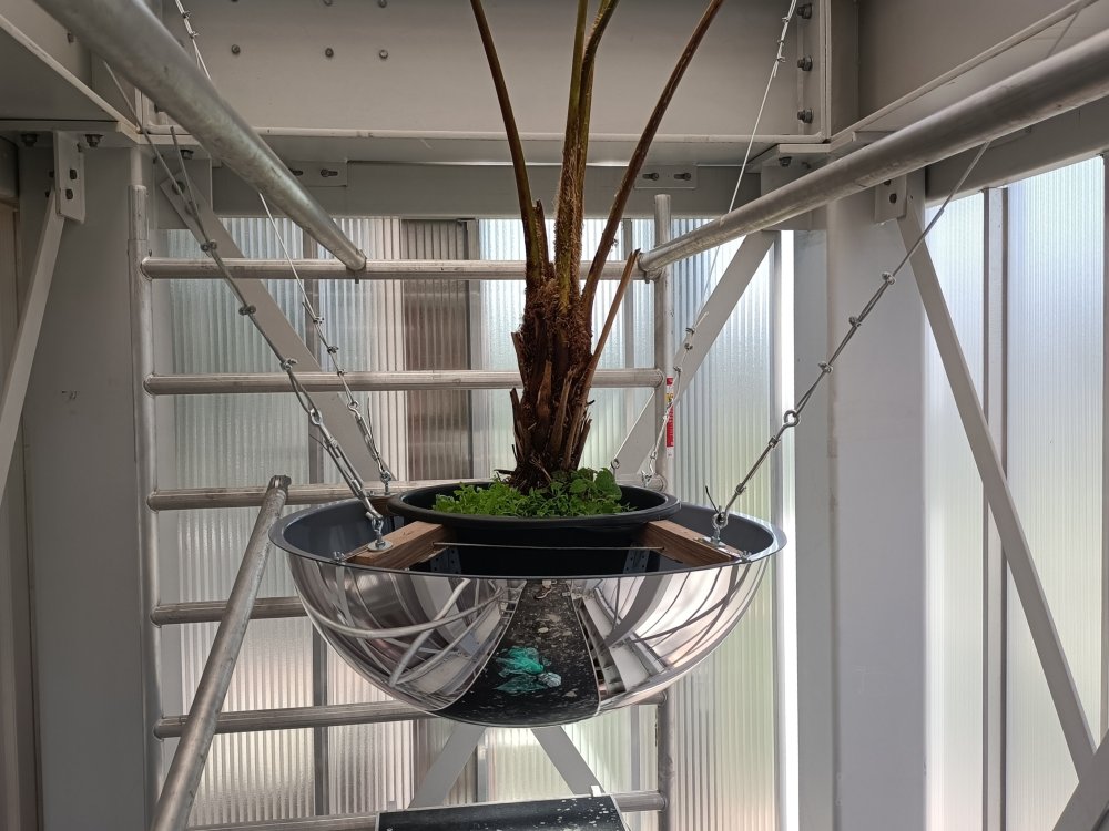 Very Contemporary, 2025 Reading the Region / Residencies (RRRR)