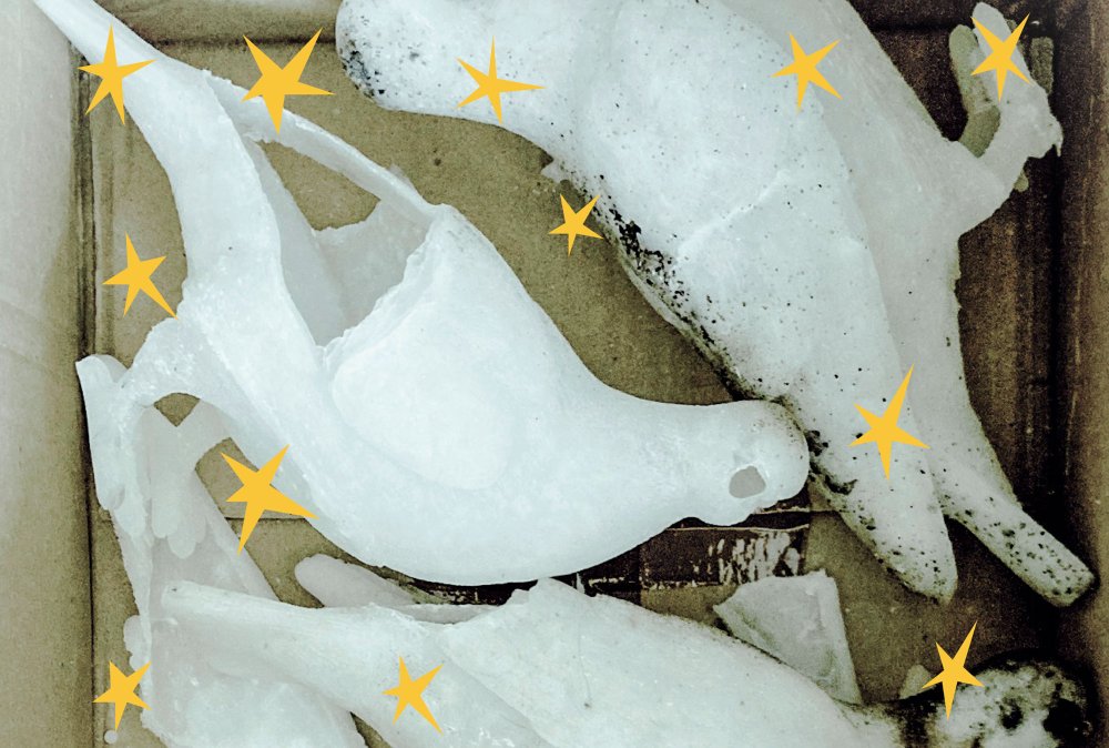 Very Contemporary, 2025 Reading the Region / What the Flag?!