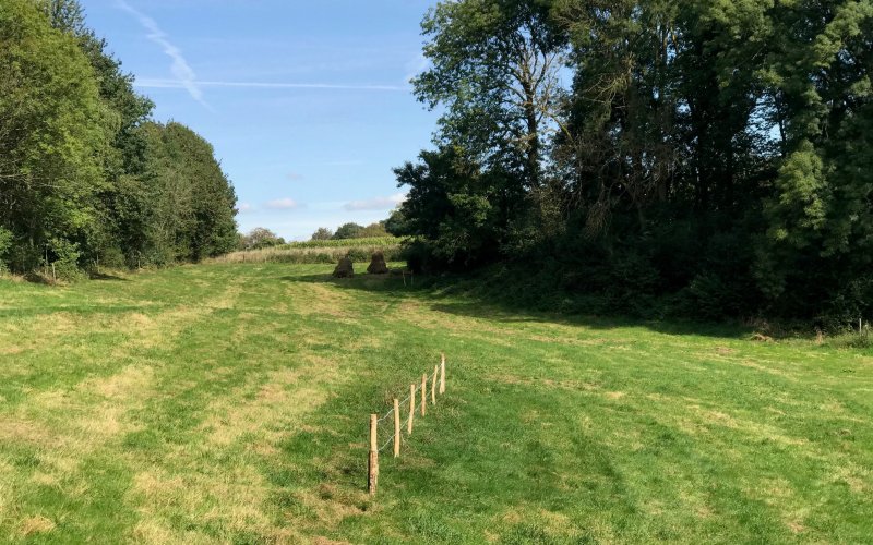 Very Contemporary, projects, 2021 ‣ Artists projects in the border region